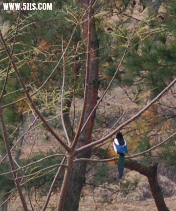 DSC_0048.jpg