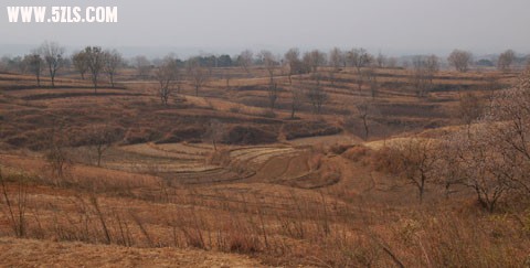 DSC_0052.jpg