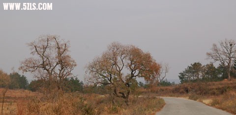 DSC_0051.jpg