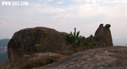 DSC_0110.jpg