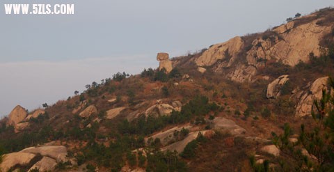 DSC_0139.jpg