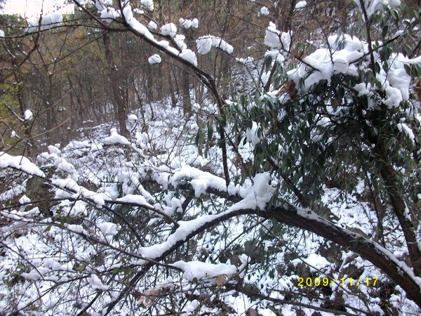 IMG_1721_С.JPG