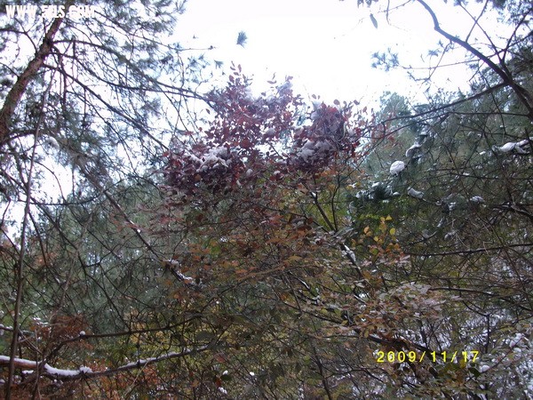 IMG_1736_С.JPG