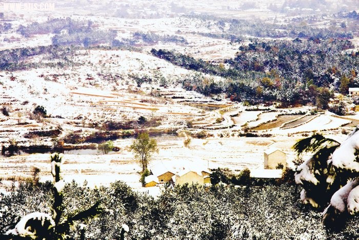 x05_Ӱ_2.jpg