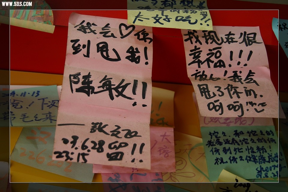 想必是开心的
