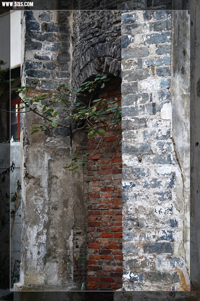 75.jpg