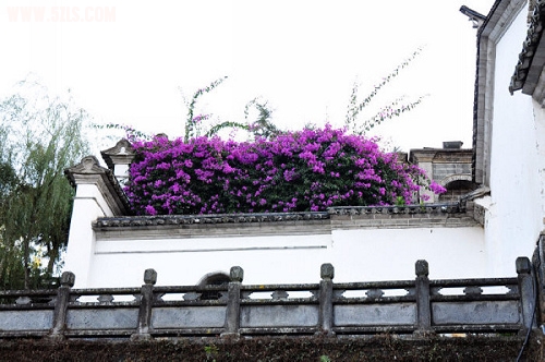 ڳ 044.jpg