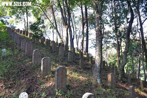ڳ 109.jpg