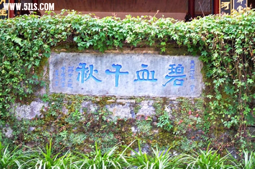 ڳ 101.jpg