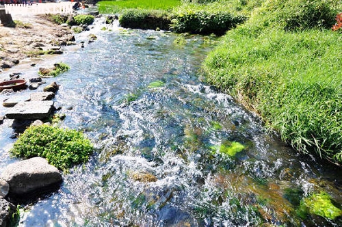 ڳ 019.jpg