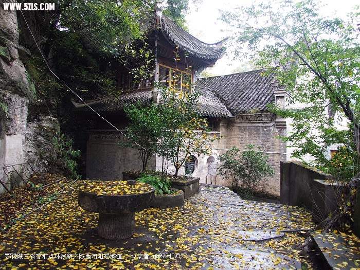 DSCF8125.JPG