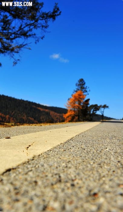 DSC_1681.jpg