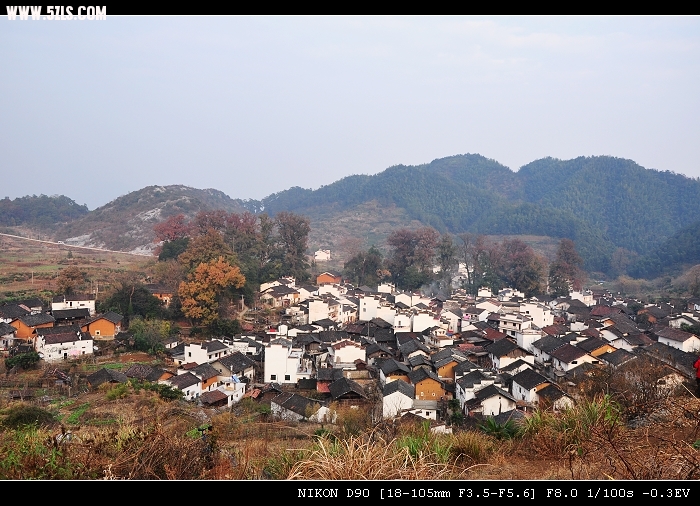 DSC_0101.jpg