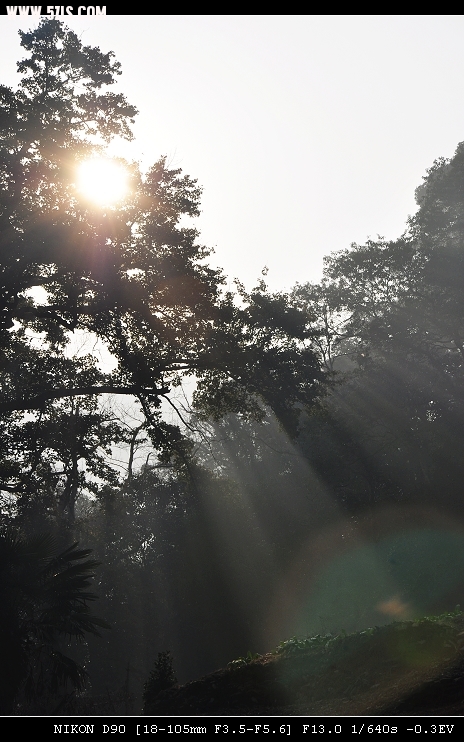 DSC_0155.jpg
