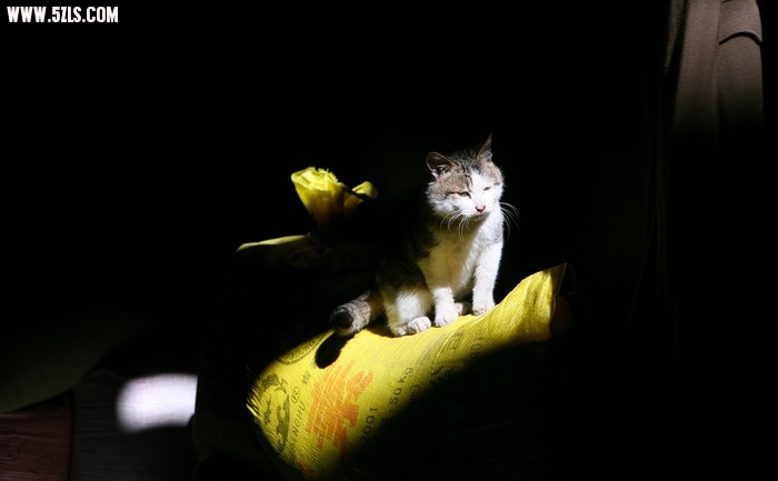 020.JPG