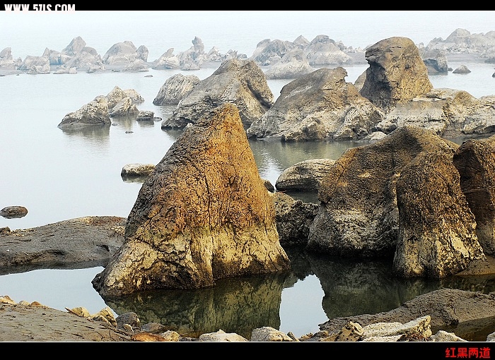 nEO_IMG__DSC6090.jpg