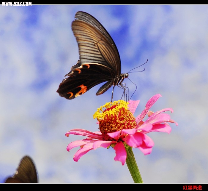 nEO_IMG__DSC5802.jpg