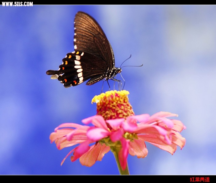 nEO_IMG__DSC5797.jpg