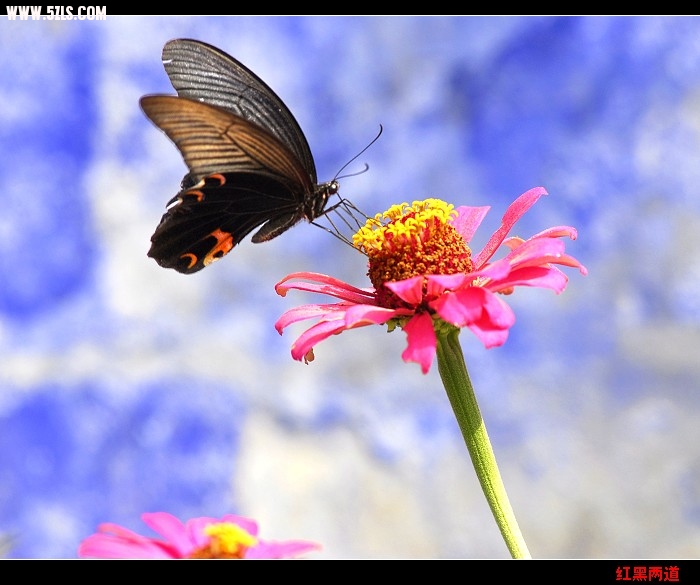 nEO_IMG__DSC5800.jpg