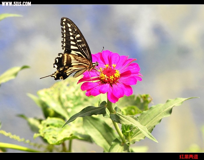 nEO_IMG__DSC5803.jpg