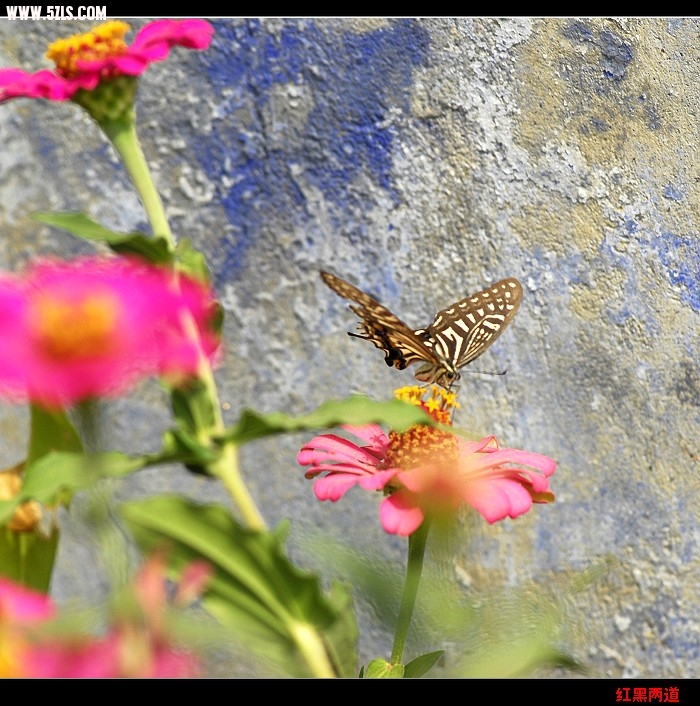 nEO_IMG__DSC5809.jpg