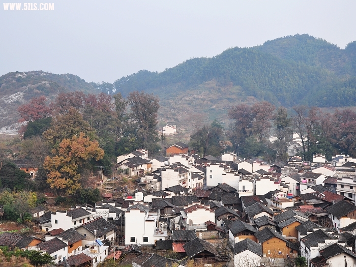 DSC_0088.jpg