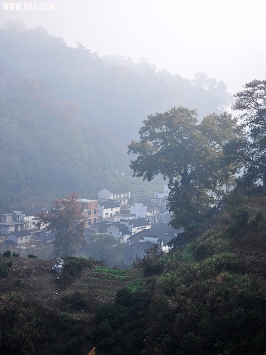 DSC_0135.jpg