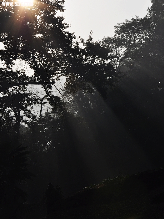 DSC_0159.jpg
