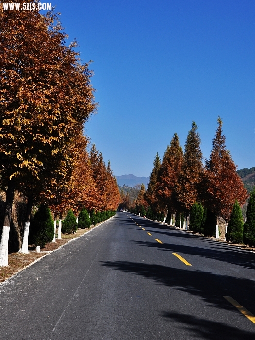 DSC_0518.jpg