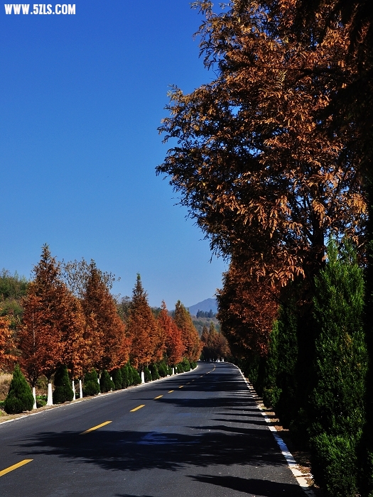 DSC_0524.jpg
