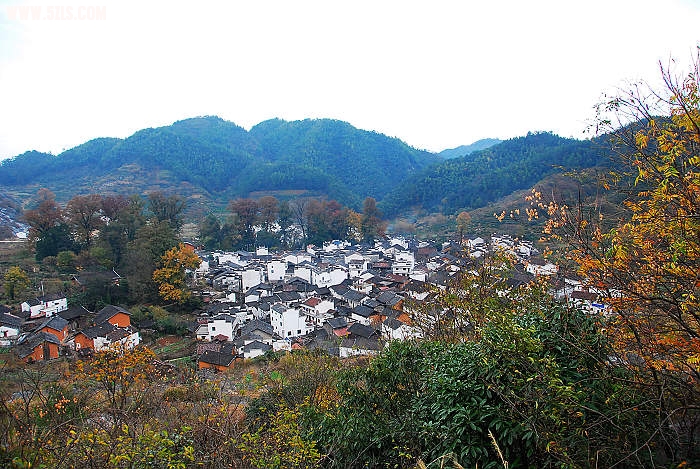 nEO_IMG_DSC_0077.jpg
