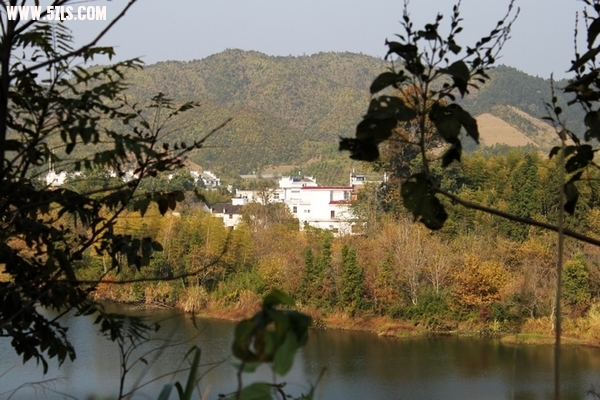 IMG_1011.JPG