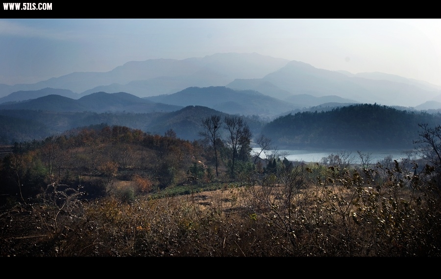 DSC_6355.jpg