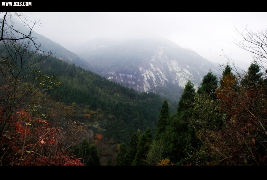 DSC_6460.jpg