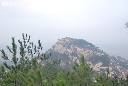 DSC_0271.JPG