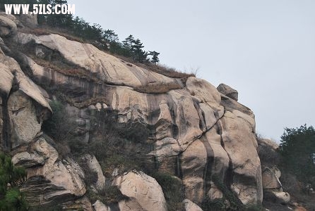 DSC_0262.JPG