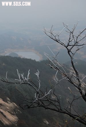 DSC_0456.JPG