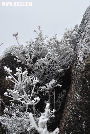 DSC_0444.JPG
