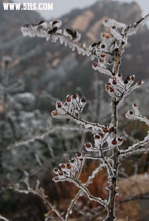 DSC_0429.JPG