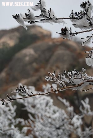 DSC_0564.JPG