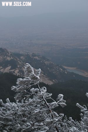 DSC_0422.JPG