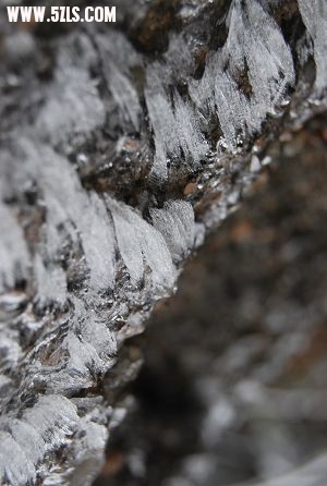 DSC_0437.JPG
