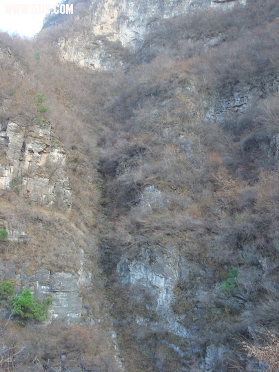 DSC06276_调整大小.JPG
