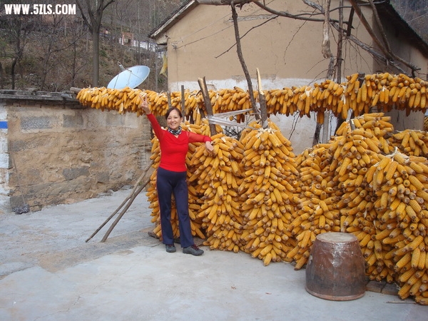 DSC06288_调整大小.JPG