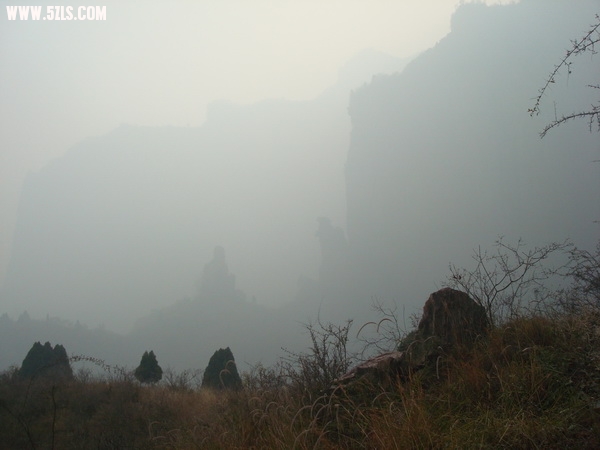 DSC06532_调整大小.JPG