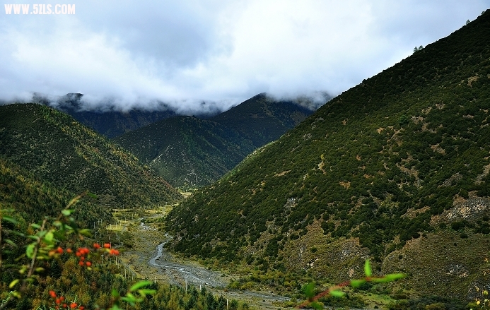 DSC_0053.jpg