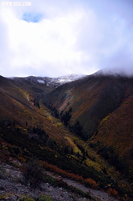 DSC_0065.jpg