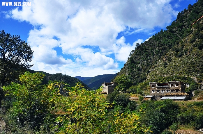 DSC_0116.jpg