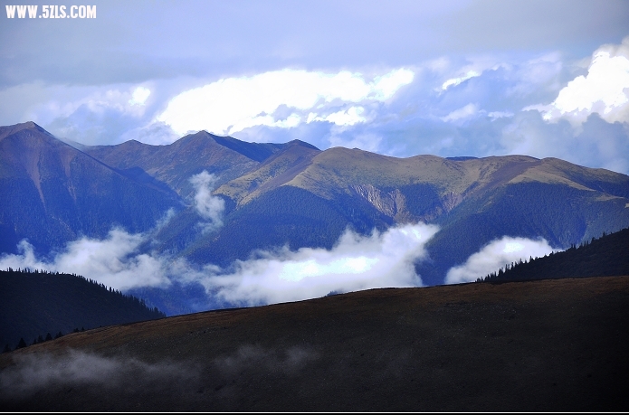 DSC_0144.jpg