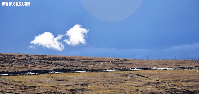DSC_0185.jpg